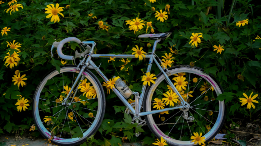 giordano c700 women's bike kickstand